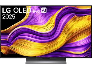  LG OLED evo TV OLED48G56LS (Flat, 48 Zoll / 121 cm, QLED 4K, SMART TV) 