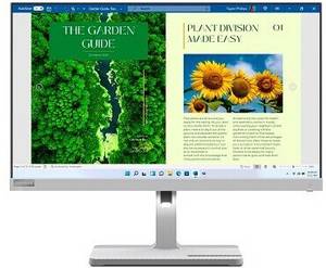 Lenovo L24m-40 Full HD Monitor