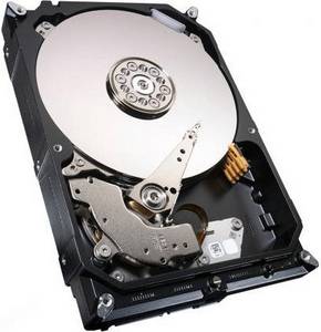 Seagate NAS HDD SATA III 4TB (ST4000VN000) NAS-Festplatte