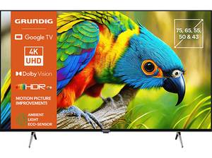  GRUNDIG 75 GUB 7340 Smart TV (75 Zoll / 189 cm, UHD 4K, SMART TV, Google TV) 