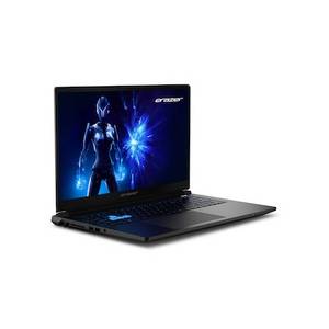 Erazer Defender 17 P1 Core 9 270H 32GB/2TB SSD 17,3
