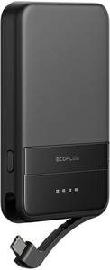 EcoFlow Rapid 5000 mAh Schwarz Wireless Powerbank