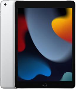 Apple iPad 256GB WiFi + 4G silber (2021) iOS-Tablet