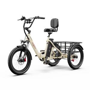 Vankel E-Bike Cityrad OT30pro herren Elektrofahrrad 