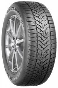 Dunlop Winter Sport 5 255/35R19 96W Winterreifen