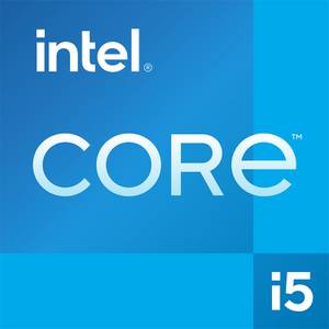 Intel Core i5-12400 Tray (CM8071504555317) 6 Kern Prozessor
