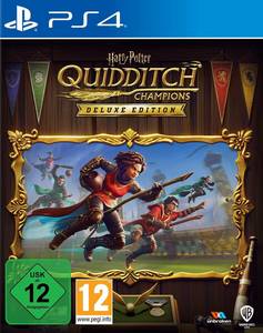 Warner Bros Harry Potter: Quidditch Champions