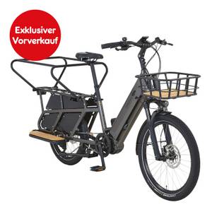 Prophete Exklusiver Vorverkauf:  Urbanicer 4.0 Urban E-Bike 20