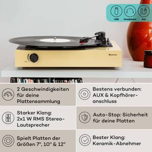 Auna The Player Plattenspieler Selbstbauset inkl. Lautsprecher 33/45 U/min Helles Taupe 