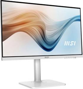 Msi MODERN MD241PWDE 23,8 Zoll Full-HD Monitor (5 ms Reaktionszeit, 75 Hz) 