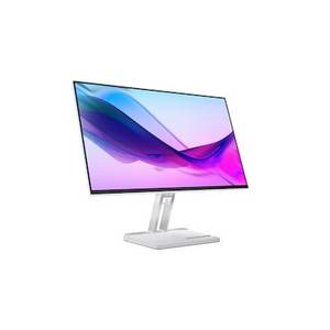 Lenovo L24i-4a 60,5cm (23,8