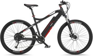 Telefunken Aufsteiger M920 Elektro-Mountainbike