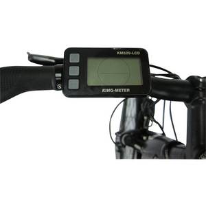 Maxtron E-Bike »MT-11«, 28