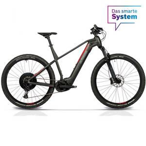 Airtracks E-Bike Mountainbike 29