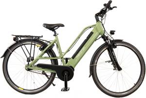 Maxtron E-Bike 