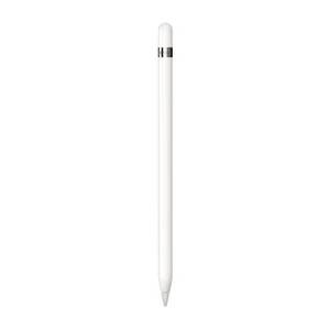 Apple Pencil 1.Generation 2022 inkl USB-C auf Pencil Adapter 