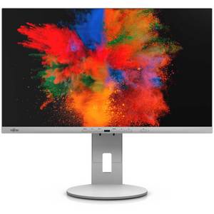 Fujitsu P2410 TE, LED-Monitor 