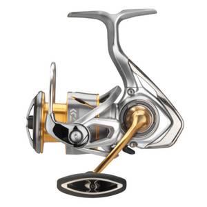 Daiwa 21 Freams LT 1000D Spinnrolle 