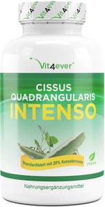 Vit4ever Cissus Quadrangularis Intenso Kapsel (180 Stk.) Nahrungsergänzung