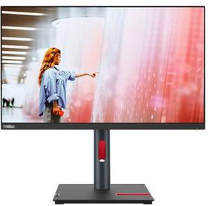 Lenovo ThinkVision P24q-30 WQHD Monitor