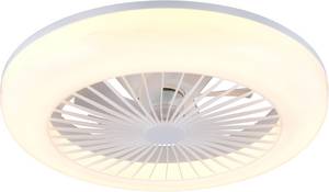 Reality Leuchten LED Deckenleuchte »MORA mit Ventilator, Deckenventilator mit Licht inkl Fernbedienung«, 1 flammig, Leuchtmittel LED-Board   LED fest integriert, 3 Geschwindigkeiten Timer Vor- & Rücklauf LED dimmbar CCT Nachtlicht 