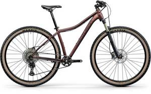 Centurion Backfire Fit Pro 800.29 merlot (2022) 29