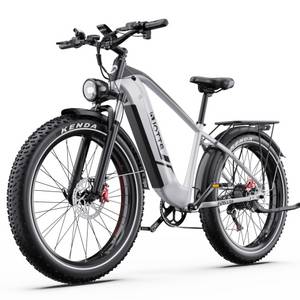 Vankel E-Bike Cityrad 48V 18Ah 864Wh 