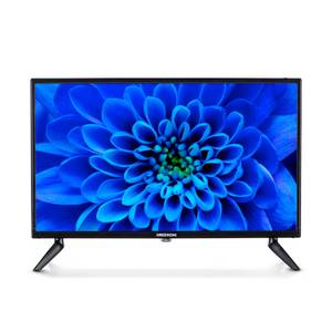 Medion ® MD20113 LED-Fernseher (59.9 cm/23.6 Zoll, 1080p Full HD, MD20113) 