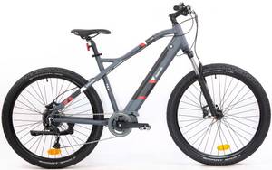 Telefunken E-Bike »Aufsteiger M925«, 9 Gang, Shimano, Alivio, Mittelmotor 250 W 