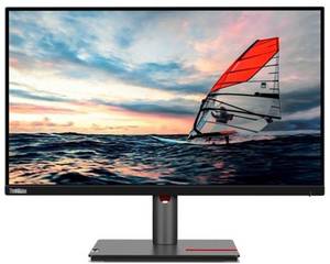 Lenovo ThinkVision P25i-30 Full HD Monitor