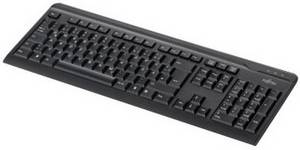 Fujitsu KB410 US / RU Kabel Tastatur