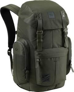 Nitro Freizeitrucksack Daypacker, Rosin, mit Laptopfach 