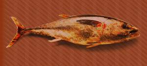 Architects Paper Fototapete Atelier 47 Tuna Graphic 2, abstrakt 