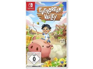  Everdream Valley - [Nintendo Switch] 