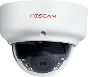 Foscam D2EP-W IP-Kamera