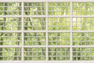 Architects Paper Fototapete Atelier 47 Brick of Glass 1, botanisch 