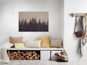 A.s. Création home24 Leinwandbild Black Forest 