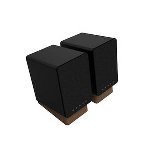 Onkyo GX10-DB Powered Monitors schwarz 