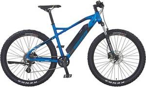 Prophete E-Bike »GRAVELER 22.ESM.10«, 8 Gang, Shimano, Altus, Heckmotor 250 W 