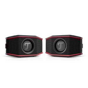 Teufel ROCKSTER GO 2 Stereo-Set Wireless Lautsprecher (Bluetooth, 8 W, Schutz (IP67) gegen Staub & Wasser) 