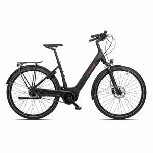 Riverside Refurbished - E-Bike City 28 Zoll EC900 City Nexus Bosch Active Line+ - GUT 
