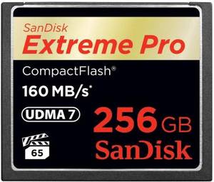 Sandisk CompactFlash 256GB Extreme Pro (SDCFXPS-256G-X46) CF Karte