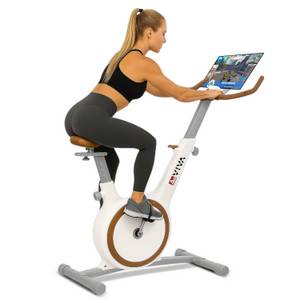 Asviva Heimtrainer H12 – Sehr leises 