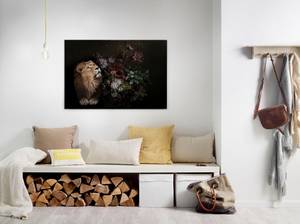 A.s. Création home24 Leinwandbild Lion Wildlife 