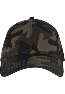 Cayler & Sons Flex Cap 