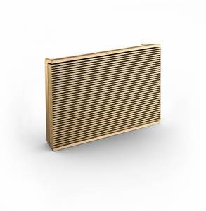 Bang & Olufsen Beosound Level Gold Tone - Light Oak ohne Google Assistant mobiler Lautsprecher