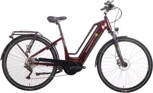 Saxonette E-Bike 