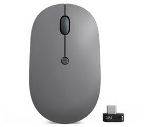 Lenovo Go USB-C Funkmaus - Sturmgrau Funkmaus