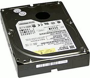 Western Digital Caviar Blue 320GB (WD3200AAJB)