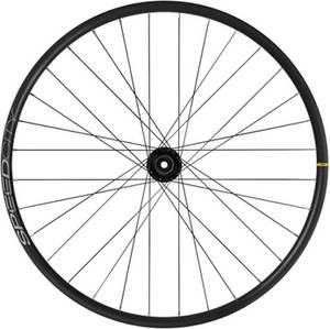 Mavic E-speedcity Cl Rear Wheel silver 12 x 142 mm / Shimano/Sram HG